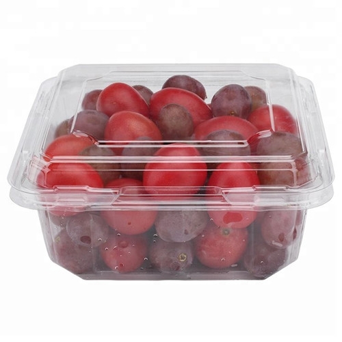 PET fresh fruit blister container clamshell packaging