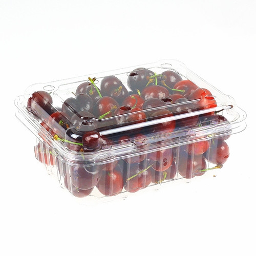 Transparent Clamshell Fruit Packaging Container