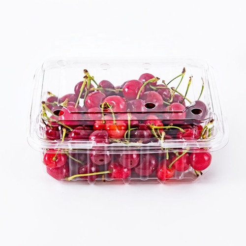 Transparent Clamshell Fruit Packaging Container